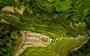 Arrozal-de-Bali-1920px.jpg